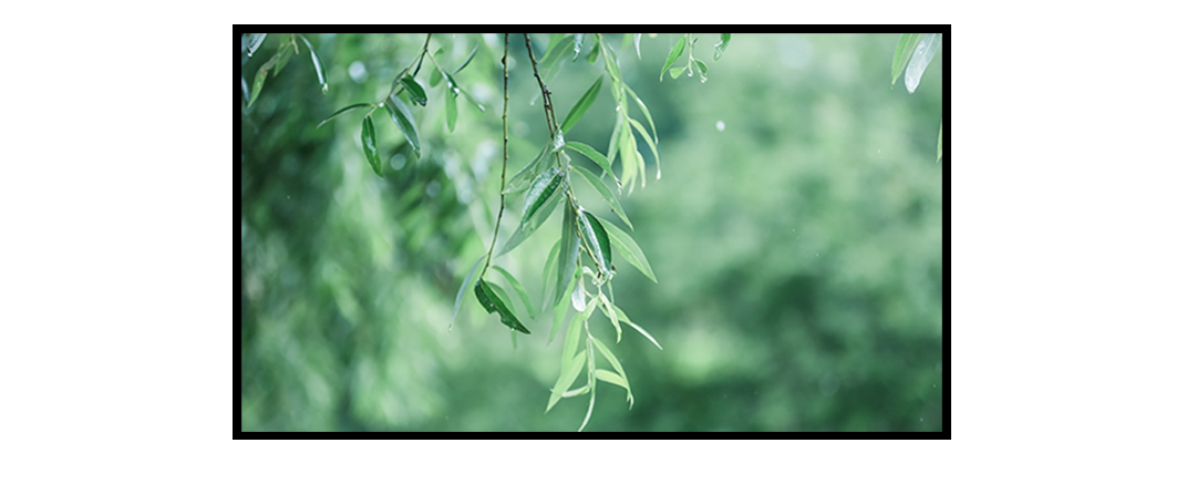 1920高清信号分辨率