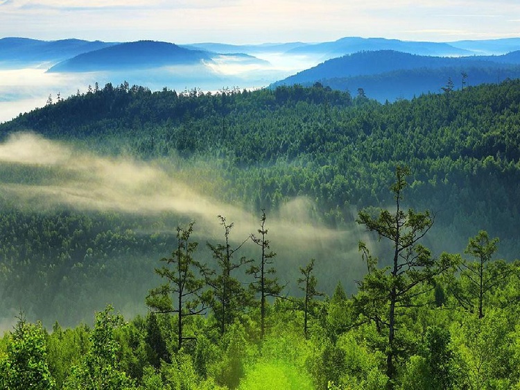 高清视频切换矩阵